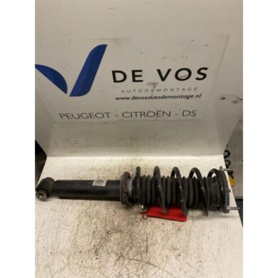 Peugeot 407 2.2 16V Front shock absorber rod, right 2005 5202PA