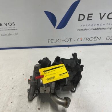 Peugeot Expert 2.0 Blue HDi 120 16V EGR Klep AHK 2020 9807593080-1686524680