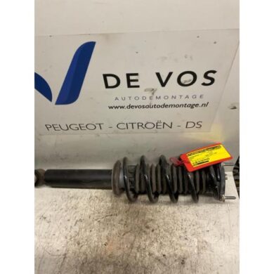 Peugeot 407 2.0 HDiF 16V Front shock absorber rod, left 2007 5202PA-5002NC