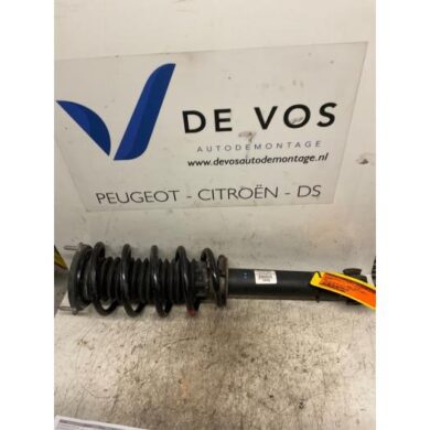 Peugeot 407 2.2 16V Front shock absorber rod, left 2006 5202TY-5002KP