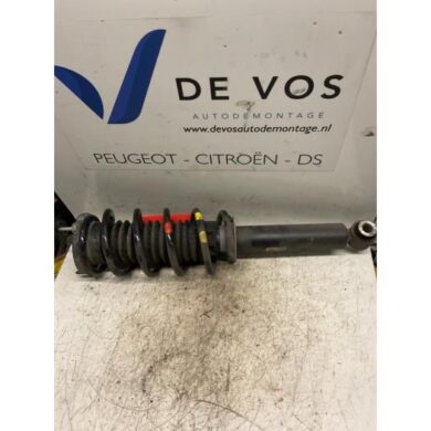Peugeot 407  Front shock absorber rod, right 2004 5202PA-5002FJ