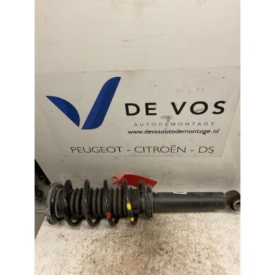 Peugeot 407  Schokdemperpoot links-voor 2004 5202PA