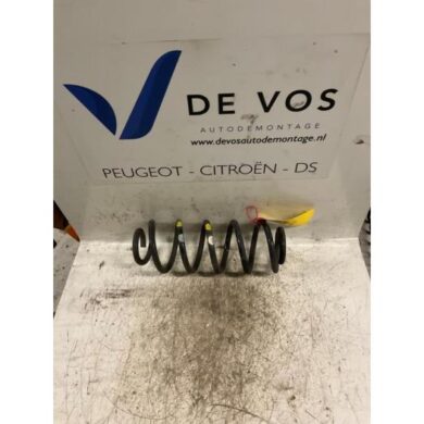 Peugeot 307 2.0 16V Schroefveer achter 2005 5102V7