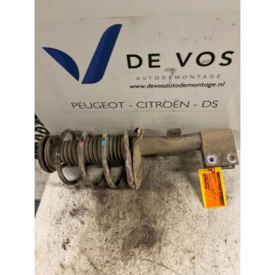 Peugeot 307 1.4 16V Front shock absorber rod, left 2004 5002FS-5202EA