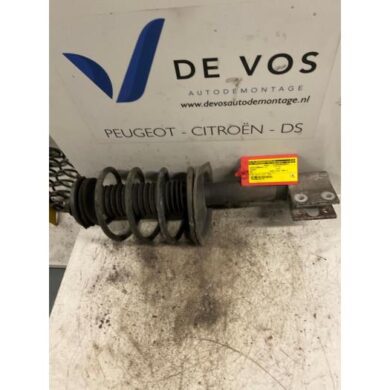 Peugeot 307 1.4 HDi Front shock absorber rod, left 2002 5202CY-5002FR