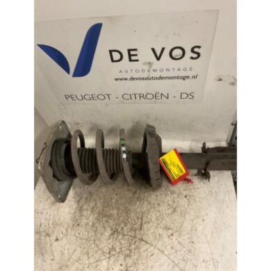 Peugeot Expert 1.6 HDi 90 Front shock absorber rod, left 2007 5002NW-5202WT