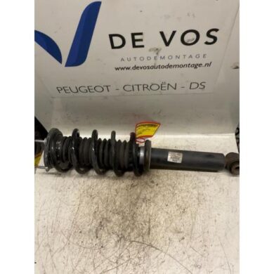 Peugeot 407 2.0 HDiF 16V Schokdemperpoot rechts-voor 2005 5202PA