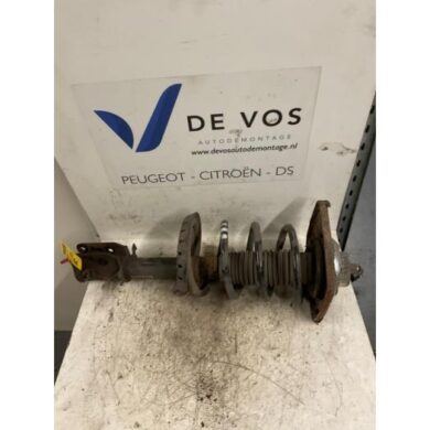 Peugeot Expert 1.6 HDi 90 Front shock absorber rod, left 2007 5002NX-5208Q4-5202WT