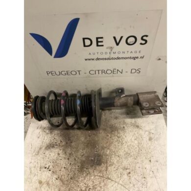 Peugeot 307 1.4 HDi Front shock absorber rod, left 2002 5202CY-5002FS