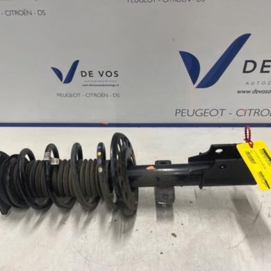 DS Automobiles DS4  Front shock absorber rod, right 2024 9859118880