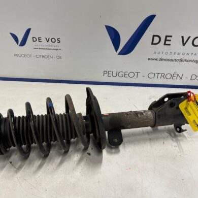Citroen C4 1.2 Hybrid 145 Front shock absorber rod, left 2025 9842993280