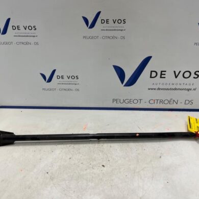 Peugeot 308  Stabilisatorstang achter 2024 9843212080