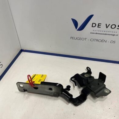 DS Automobiles DS4  Bonnet Hinge 2024 9830840680