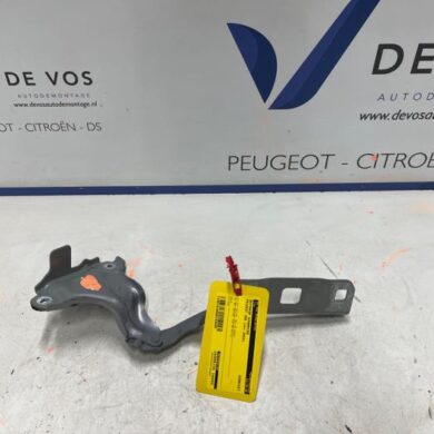Peugeot 308  Motorkap Scharnier 2024 9835298780