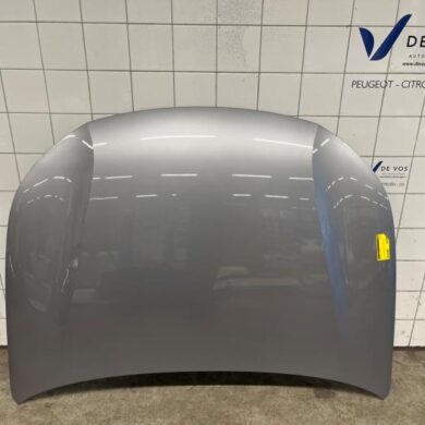 Peugeot 308  Bonnet 2024 9837981180