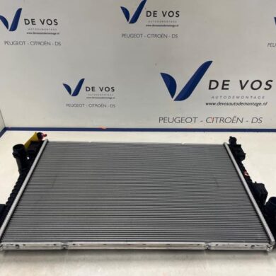 Peugeot 3008 e-3008 Long Range 230 97 kWh Radiateur ZK03 2025 9836317980