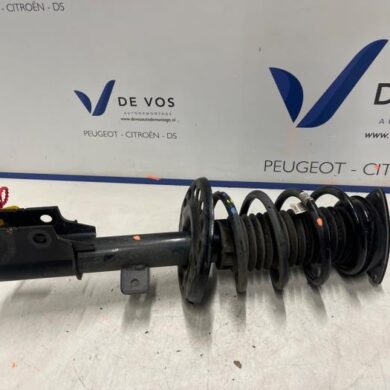 DS Automobiles DS4  Front shock absorber rod, left 2024 9859118880