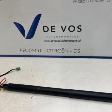 DS Automobiles DS4  Rear gas strut, right 2024 9831778680