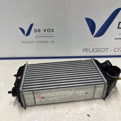 Peugeot 2008  Intercooler T3FF-PL7 2024 9844072480