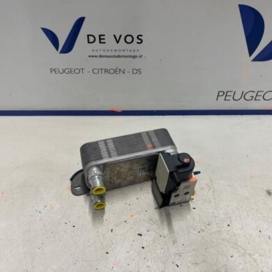 Peugeot 3008 e-3008 Long Range 230 97 kWh Heat exchanger ZK03 2025 9838667680
