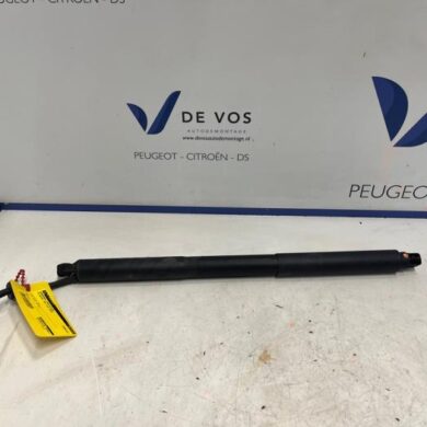 DS Automobiles DS4  Rear gas strut, left 2024 9831743880