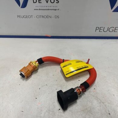 DS Automobiles DS4  Cable high-voltage 2024 9844817780