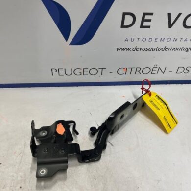 DS Automobiles DS4  Bonnet Hinge 2024 9830840580