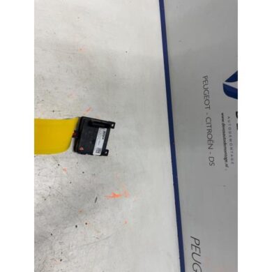 Peugeot 308  Sensor (overige) 2024 9856280180-1696689780-1696699880